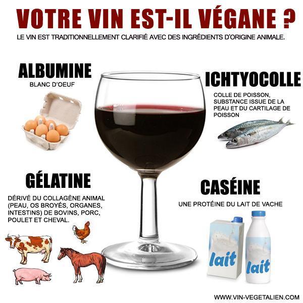 Qu'est ce qu'un vin Vegan / Végétalien ?