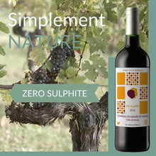 Load image into Gallery viewer, Les Cadets 2019 Natural Wine
